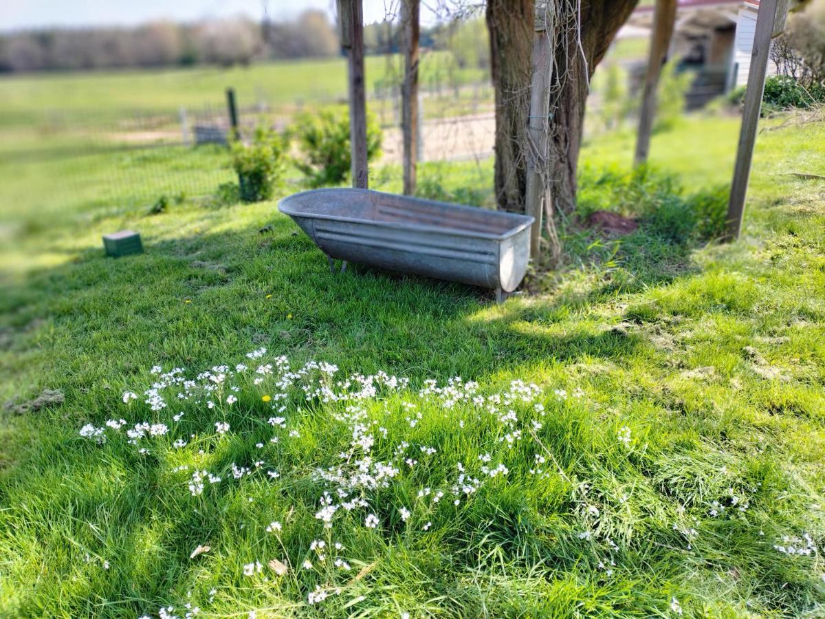Les Hortensias La Souris Des Champs Étival-Clairefontaine Esterno foto