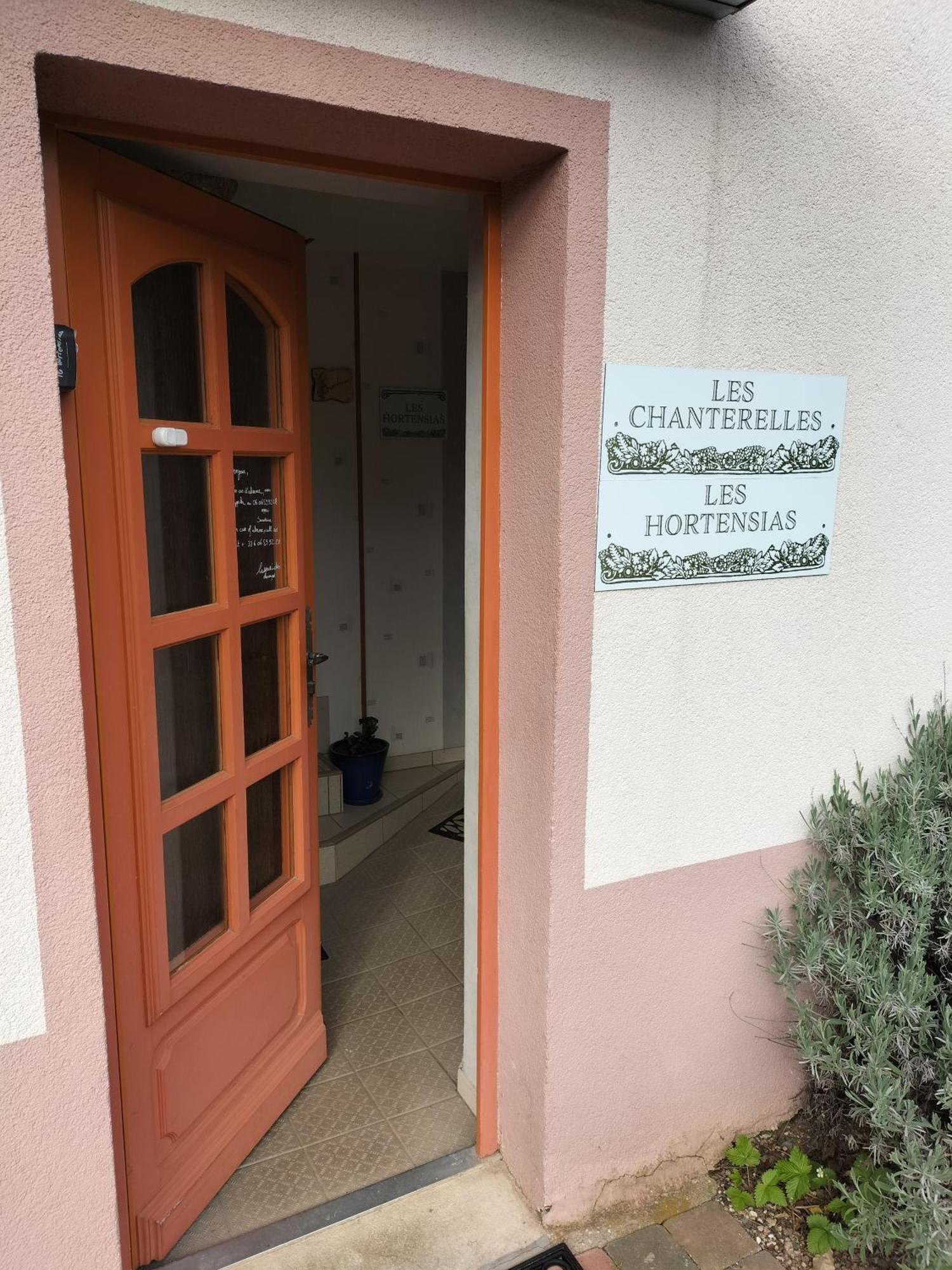 Les Hortensias La Souris Des Champs Étival-Clairefontaine Esterno foto