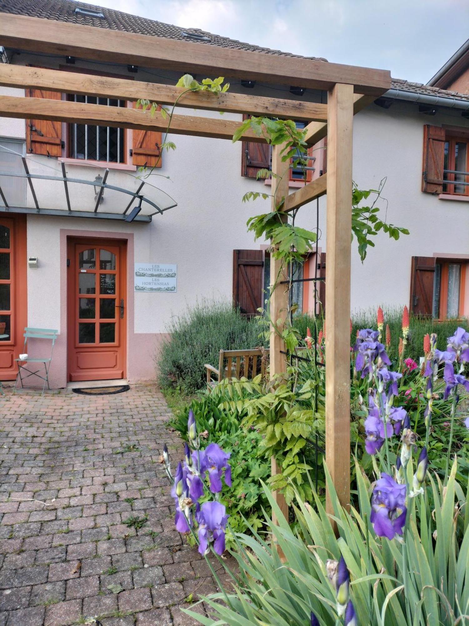 Les Hortensias La Souris Des Champs Étival-Clairefontaine Esterno foto